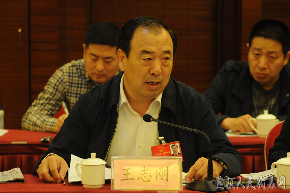 河北省代表分组审议政府工作报告
